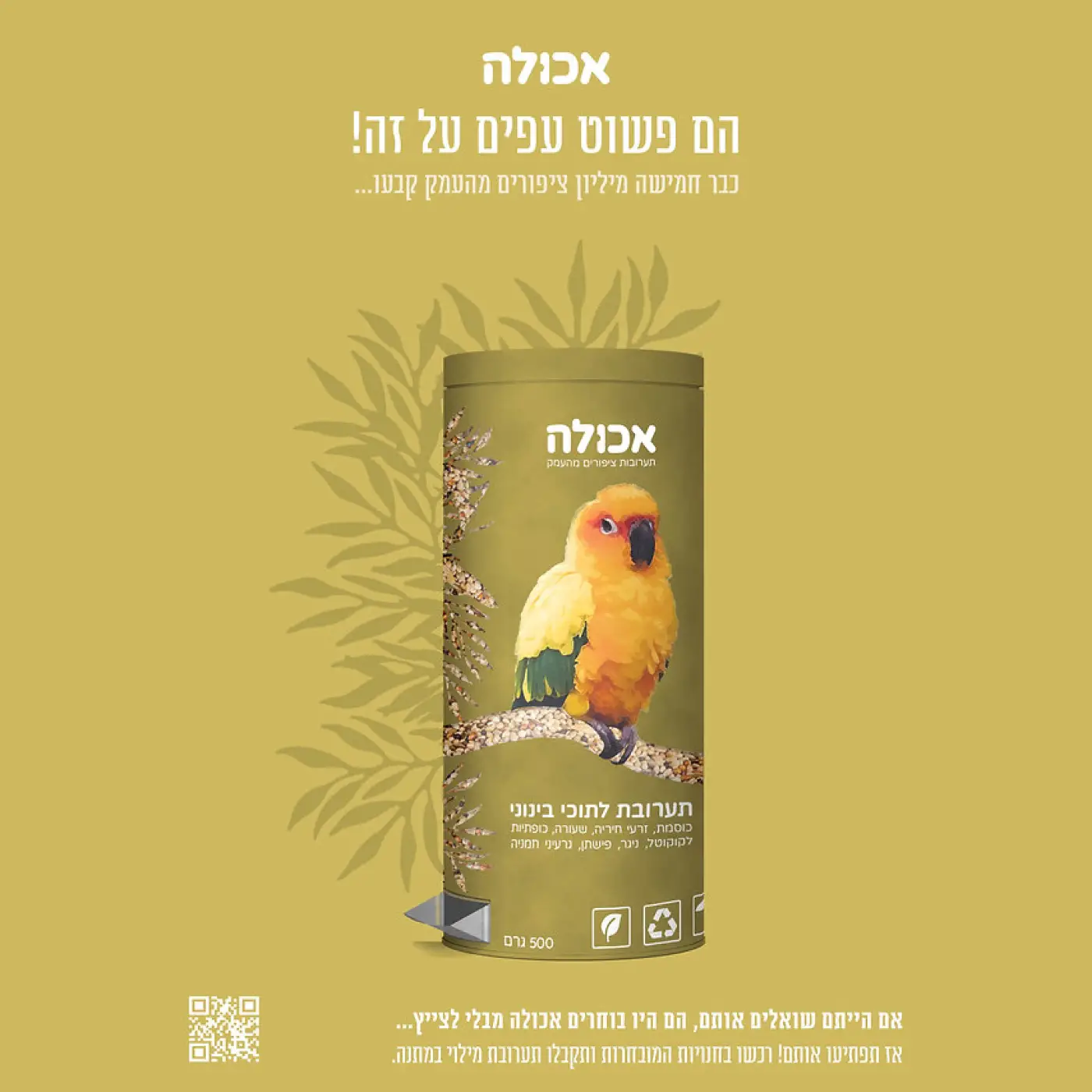 עיצוב אריזות