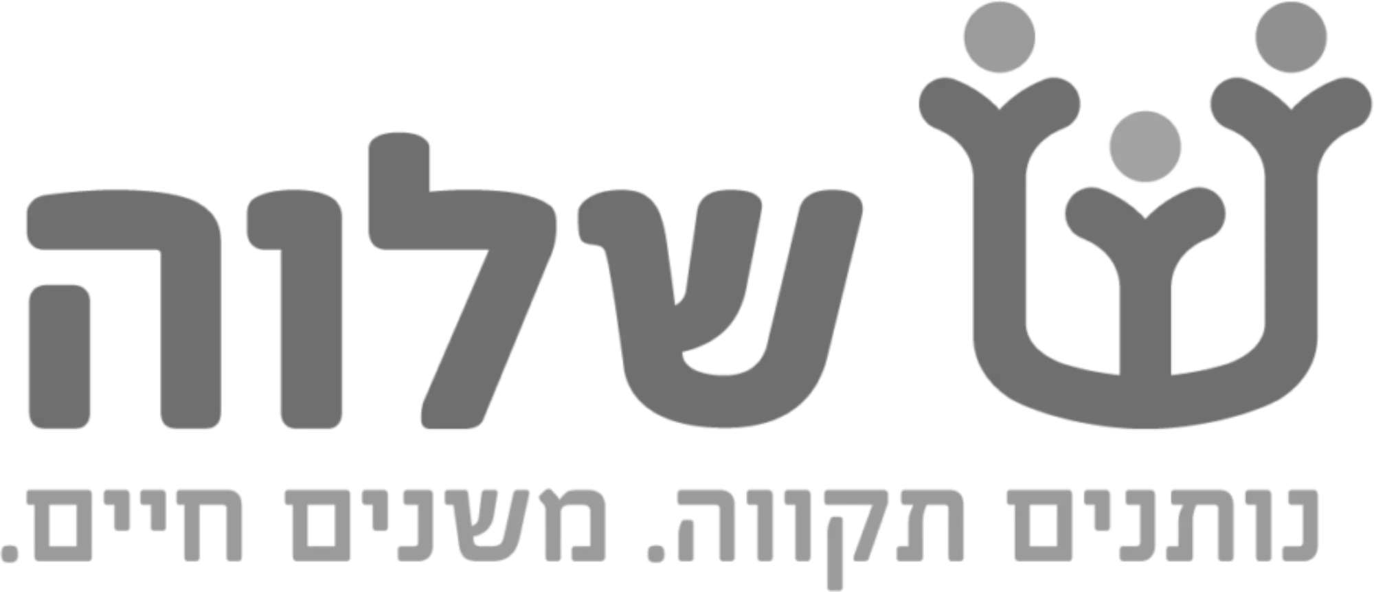 שלוה בניית אתר תדמית סטודיו פורטה תמרה גפניאל