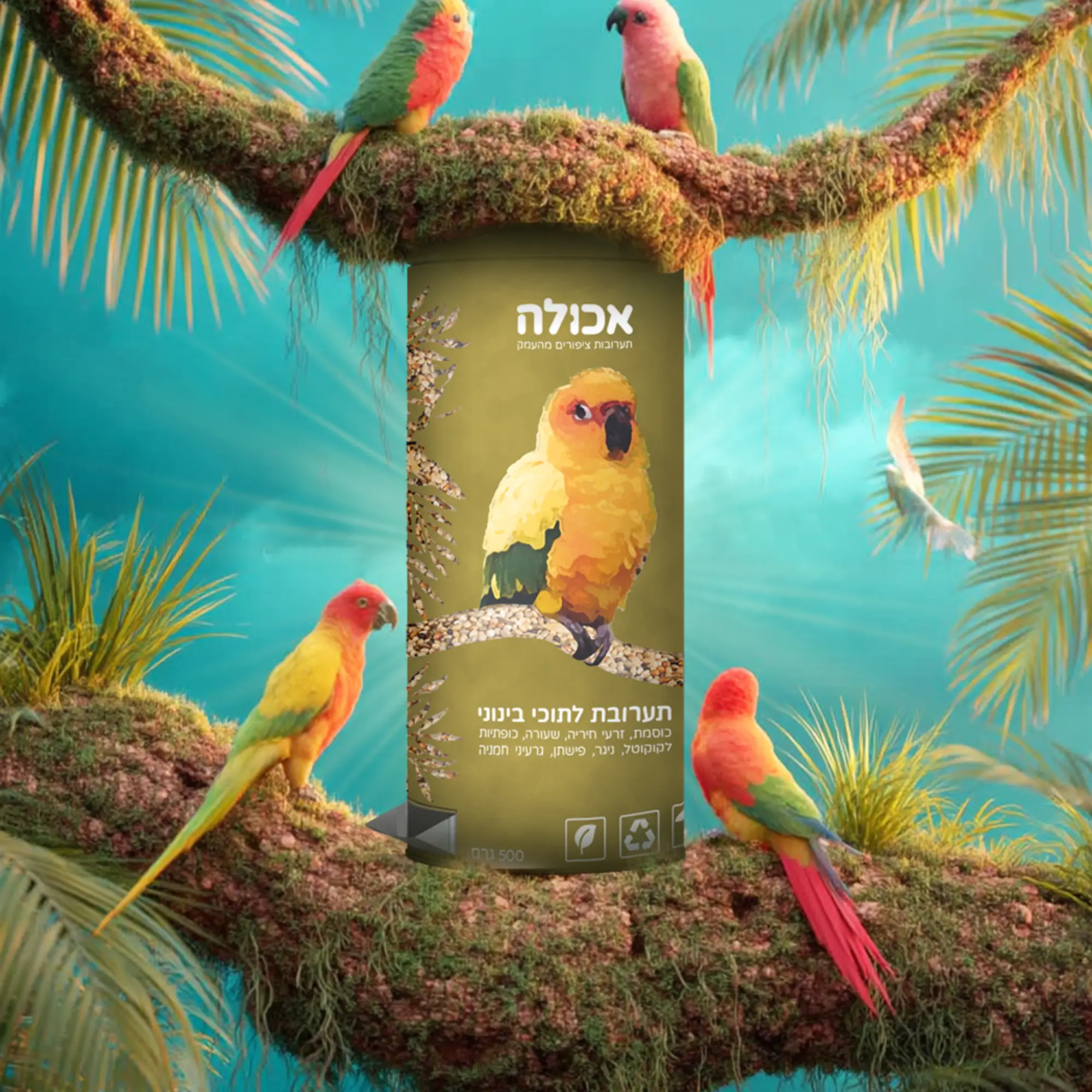 עיצוב אריזות קשיחות אוכל לתוכי סטודיו פורטה מיתוג מוצרים תוכים