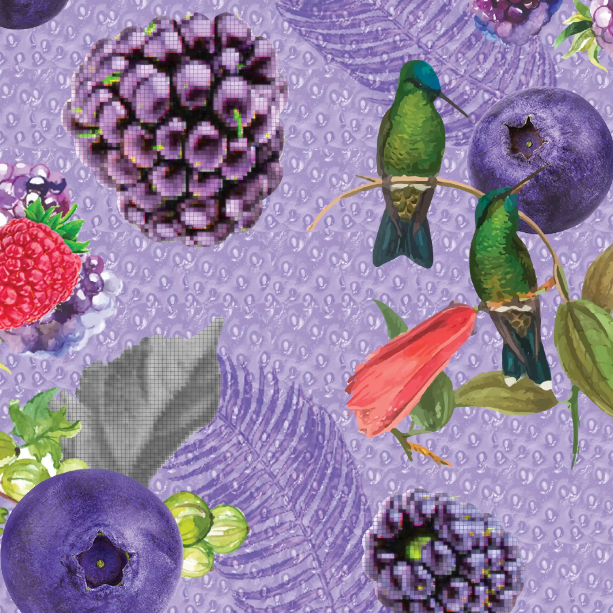 עיצוב תווית ליין קונספט עיצובי סטודיו למיתוג מוצרים פורטה