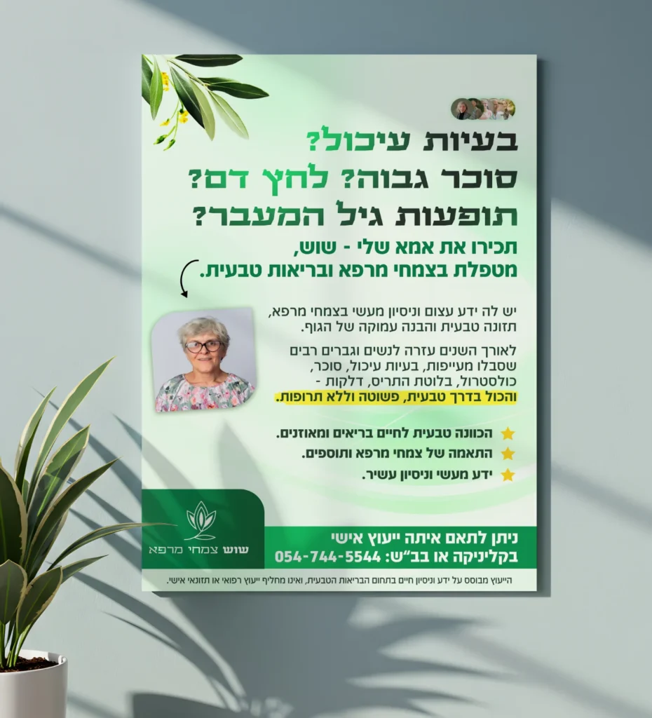 עיצוב פליירים לדוגמא סטודיו פורטה