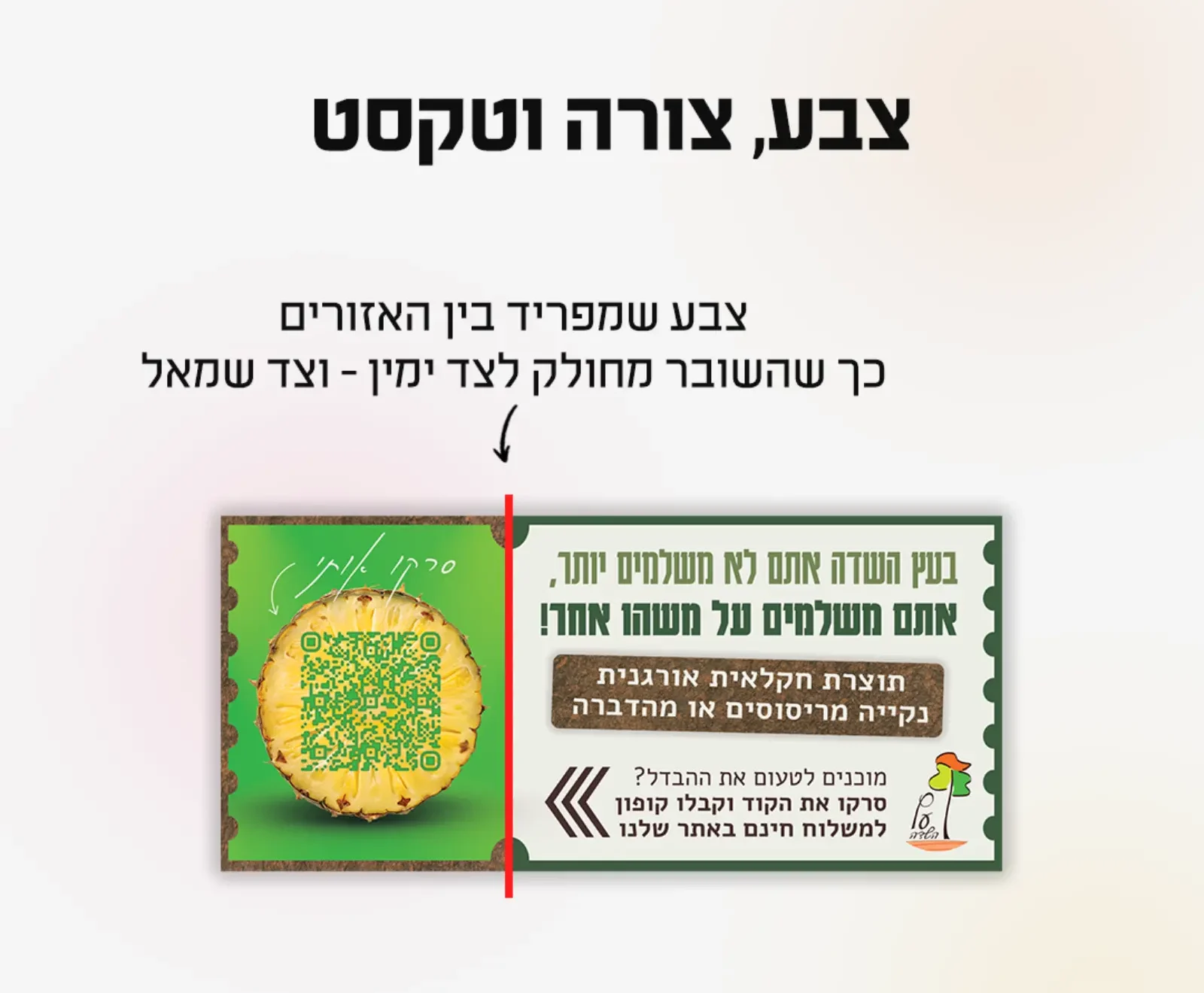 היררכיה ויזואלית תיאוריה בעיצוב סטודיו פורטה