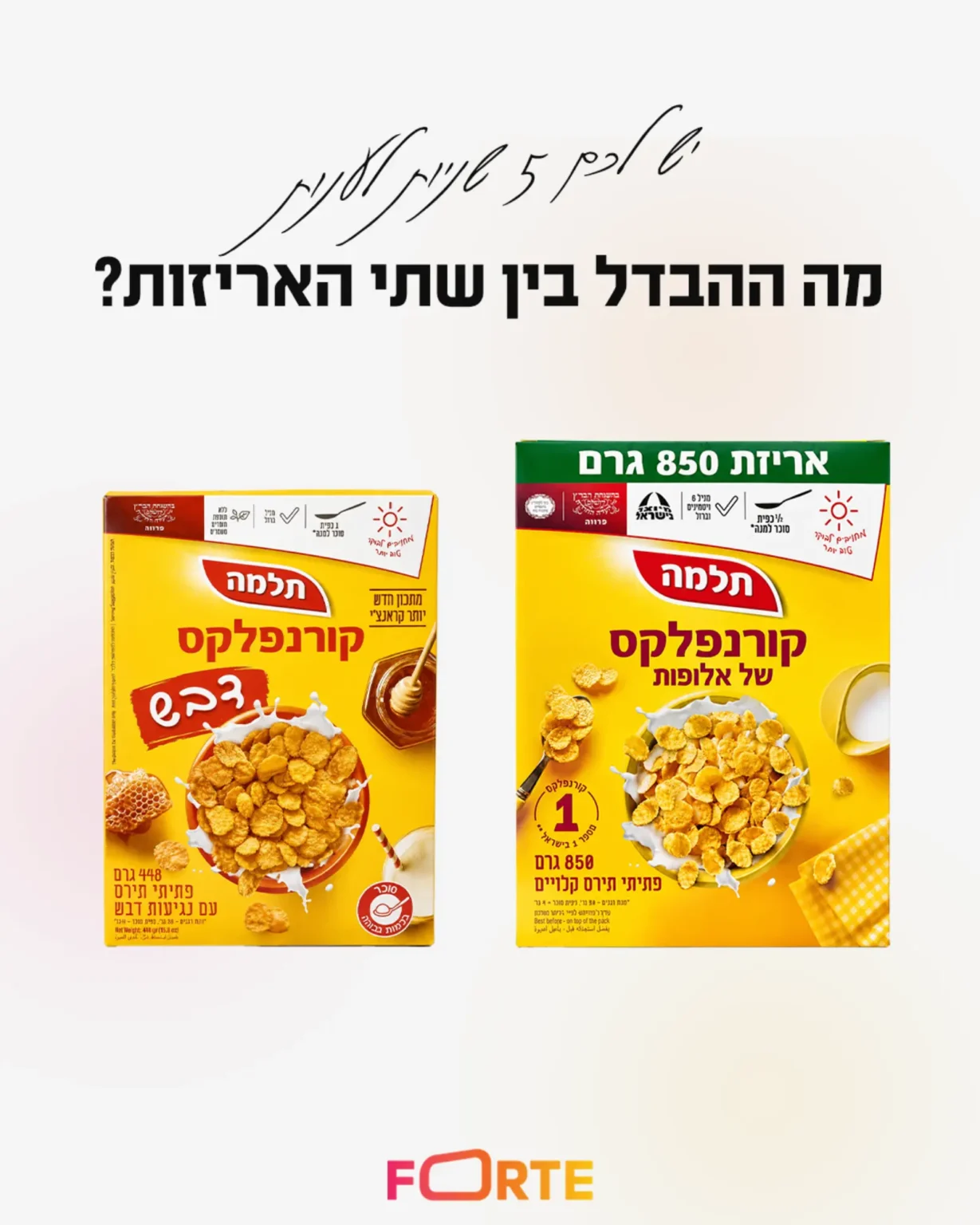 בידול ויזואלי באמצעות צבע וצורה סטודיו פורטה