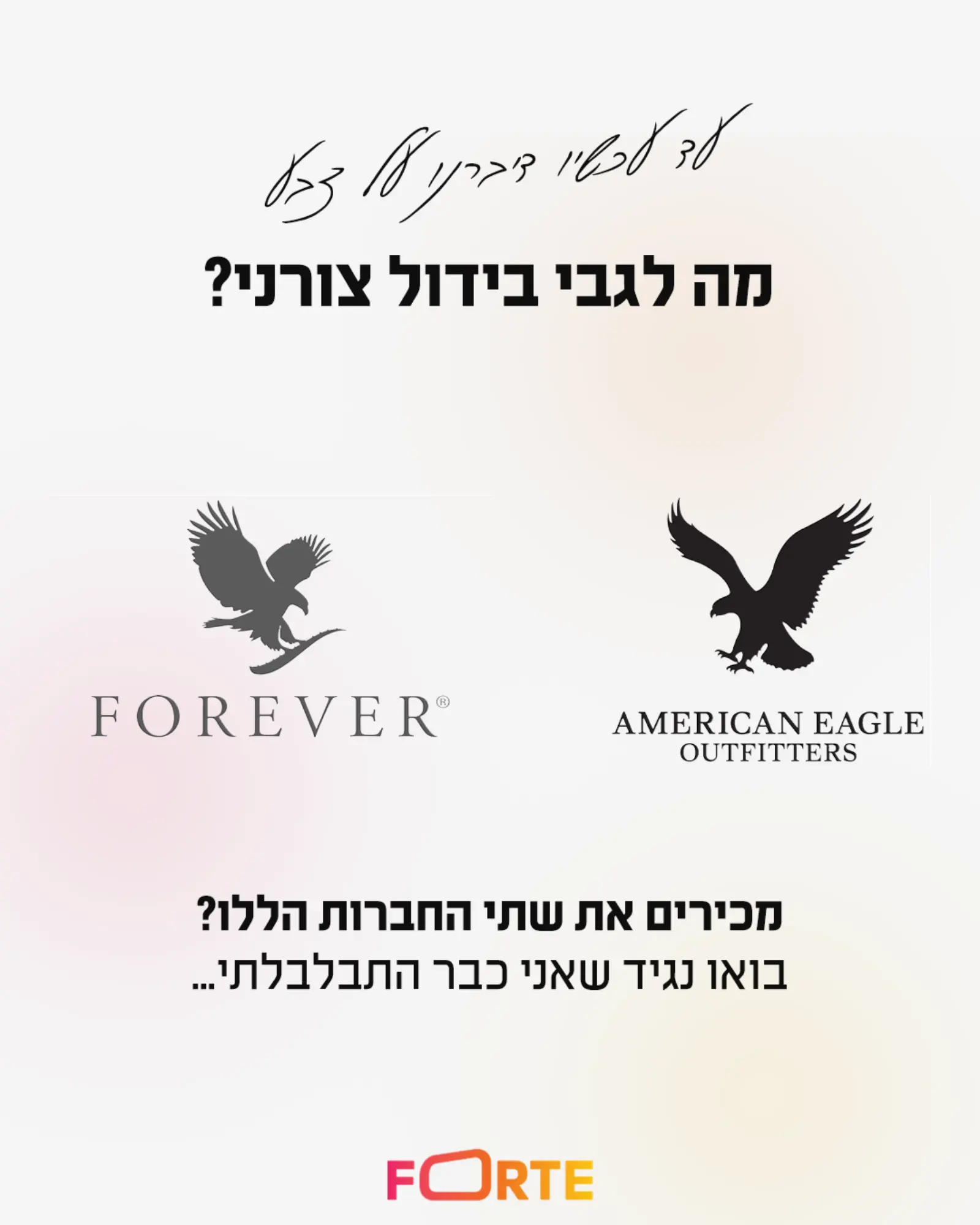 בידול ויזואלי באמצעות צבע וצורה סטודיו פורטה