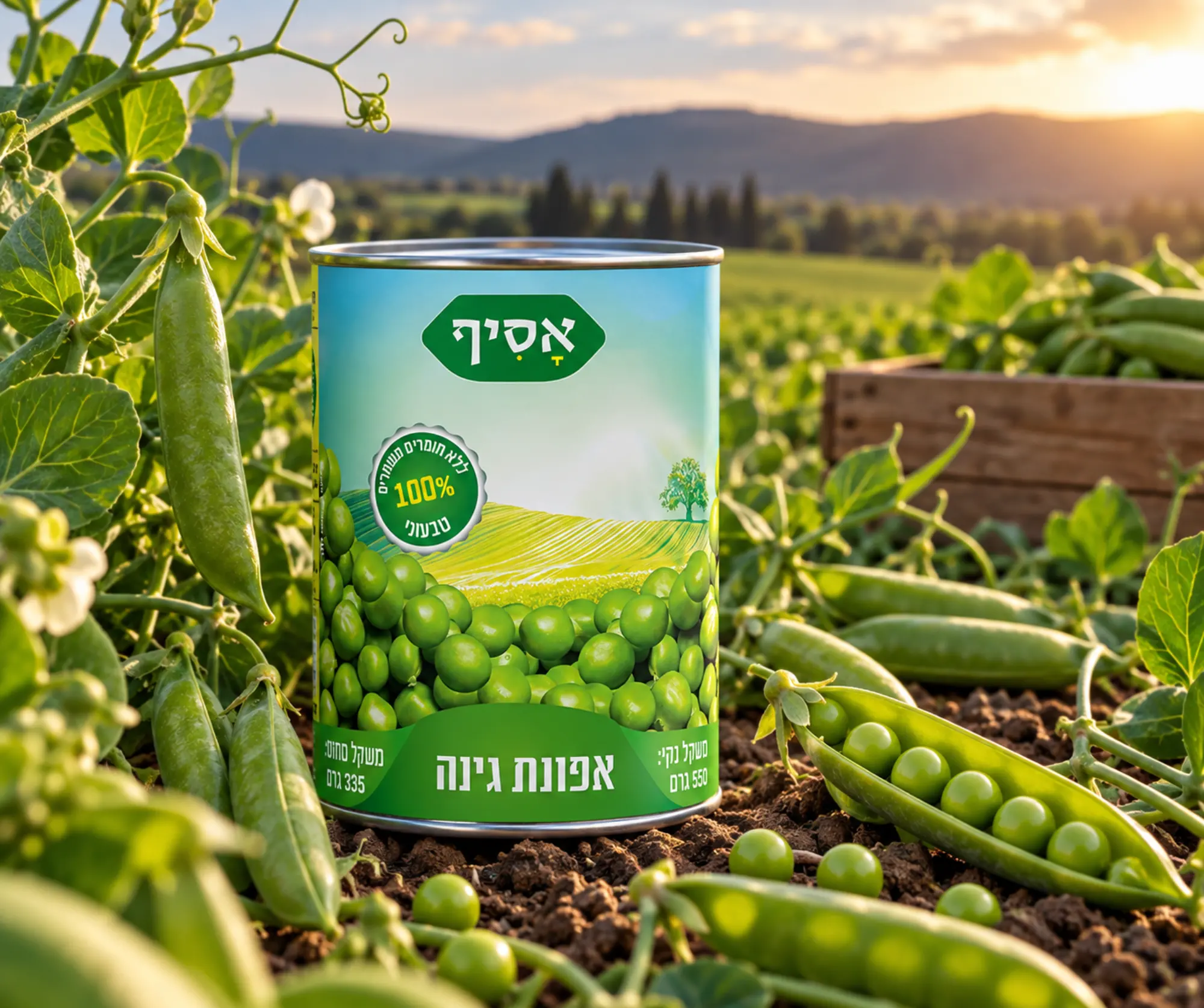 עיצוב אריזות שימורים סטודיו פורטה עיצוב קופסאת שימורים